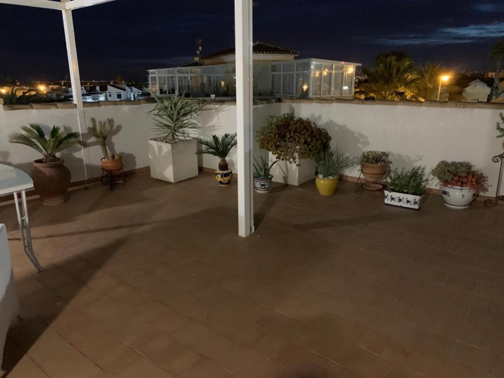 Villa Susana Torrevieja Exterior photo
